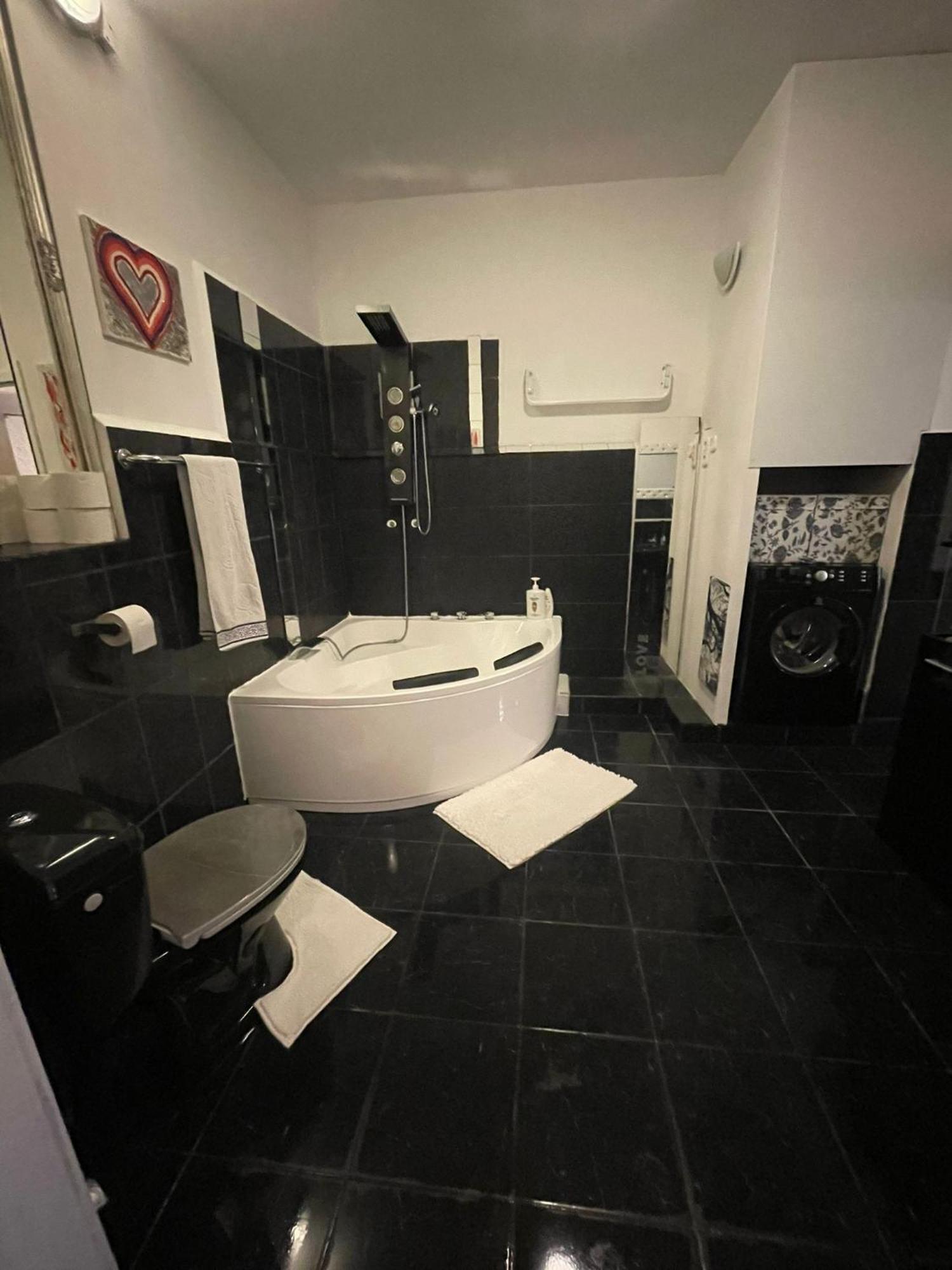Apartment Geibel T4 - 85M2 - Highspeed Internet - Hundefreundlich Vienne Extérieur photo