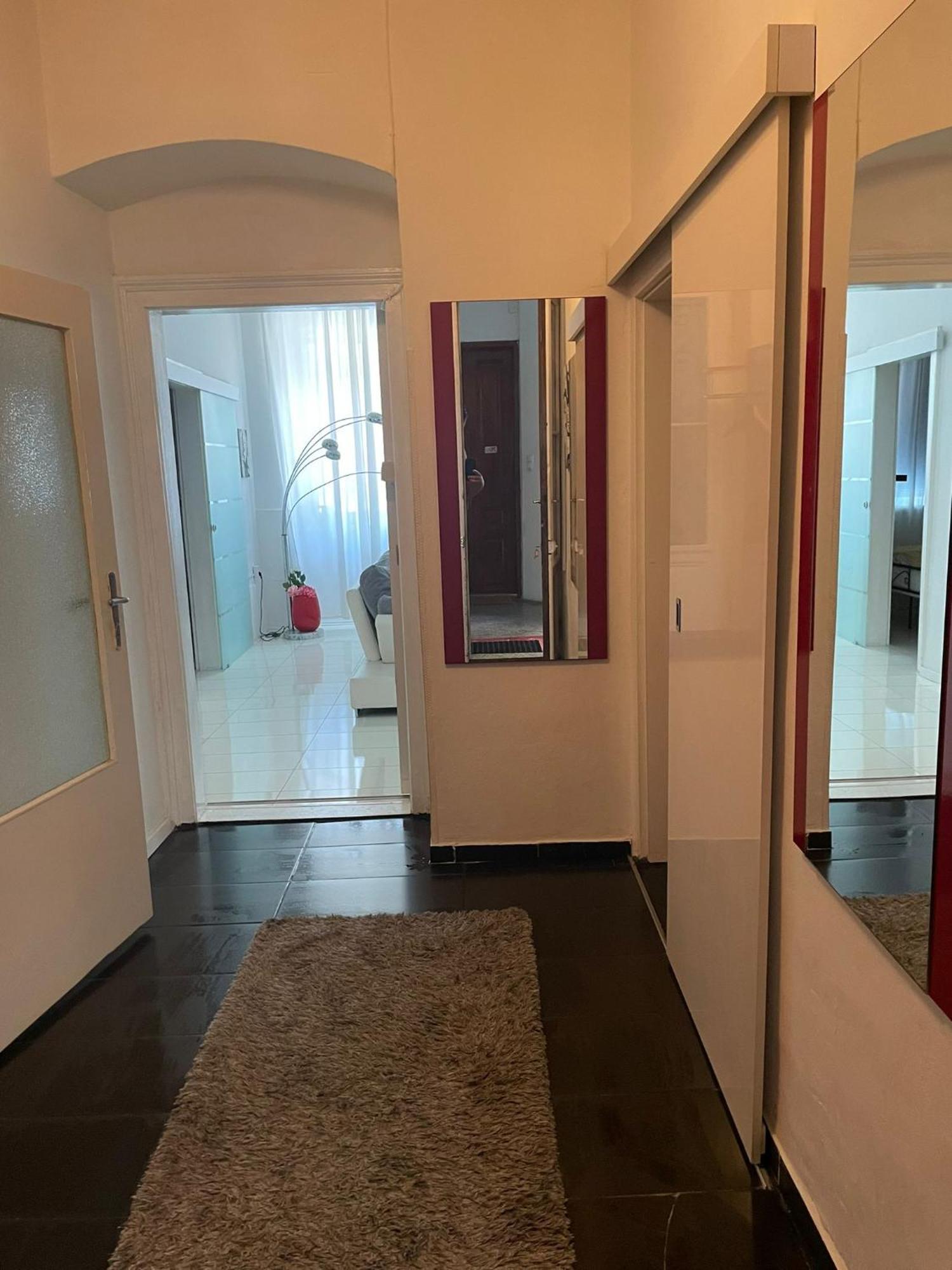 Apartment Geibel T4 - 85M2 - Highspeed Internet - Hundefreundlich Vienne Extérieur photo